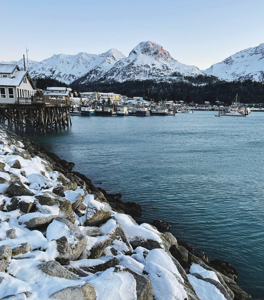 Cold Season Dispatch