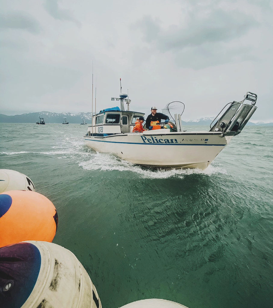 May Dispatch from the Fishing Grounds