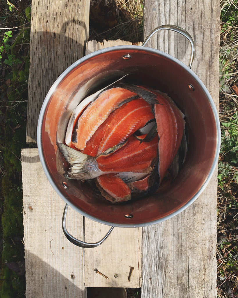 Salmon Stock