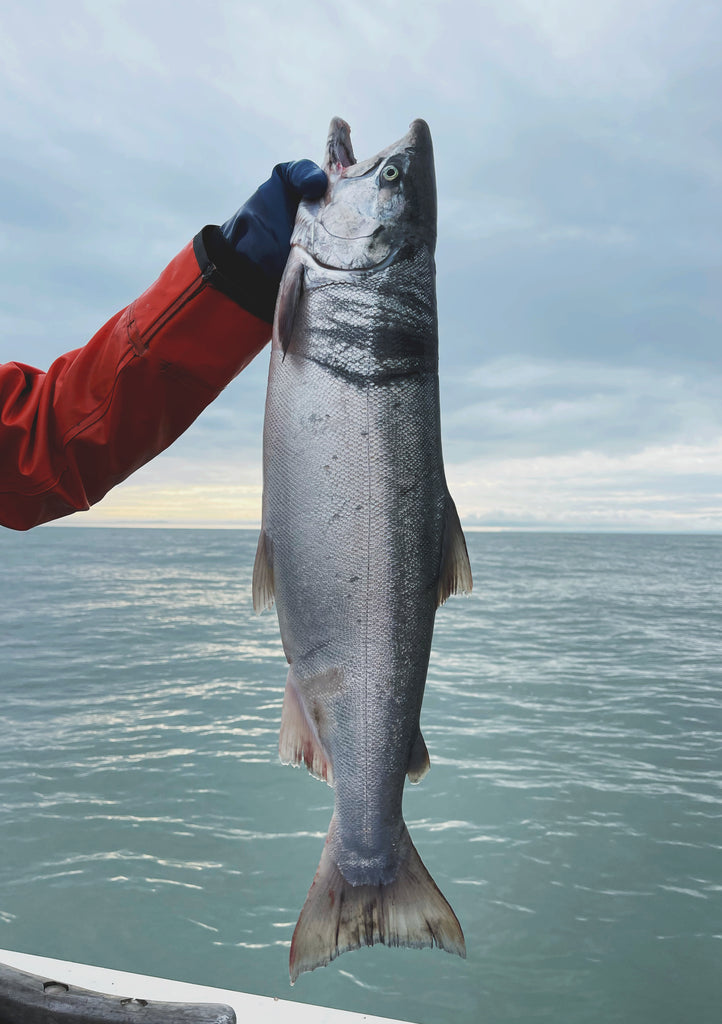 September Dispatch from the Fishing Grounds | Harvest Season 2021