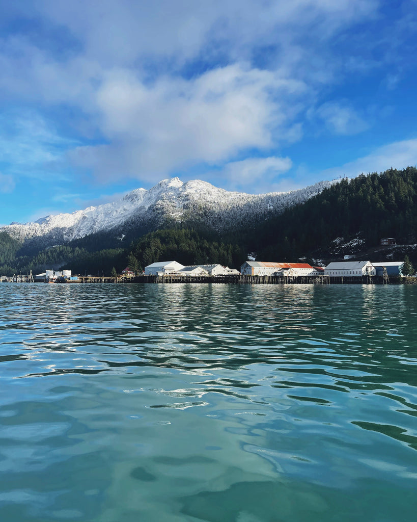 The Drifters Fish Shop