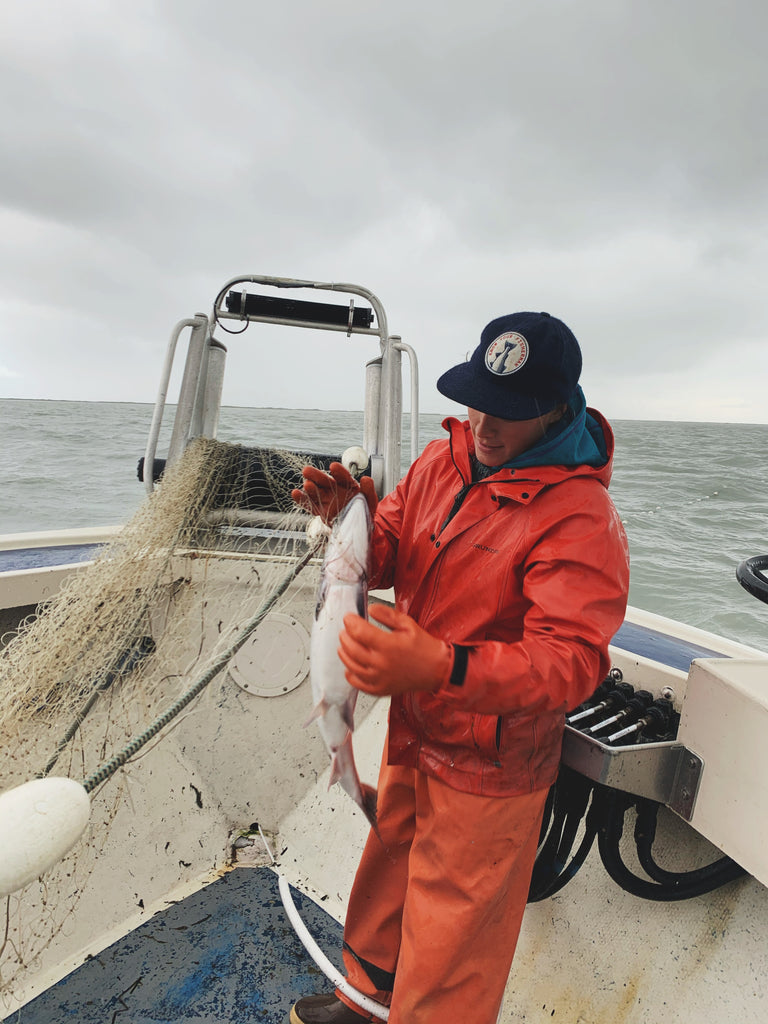 Salmon Summer | Harvest Season 2020