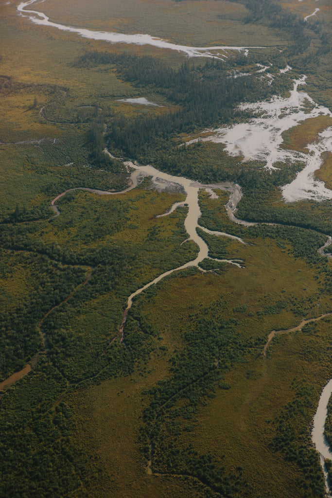 Mapping Wild Salmon Spawning Grounds