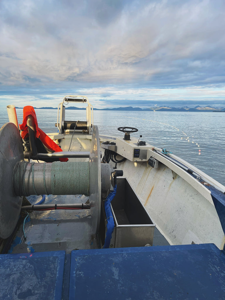 July Dispatch from the Fishing Grounds | Harvest Season 2021