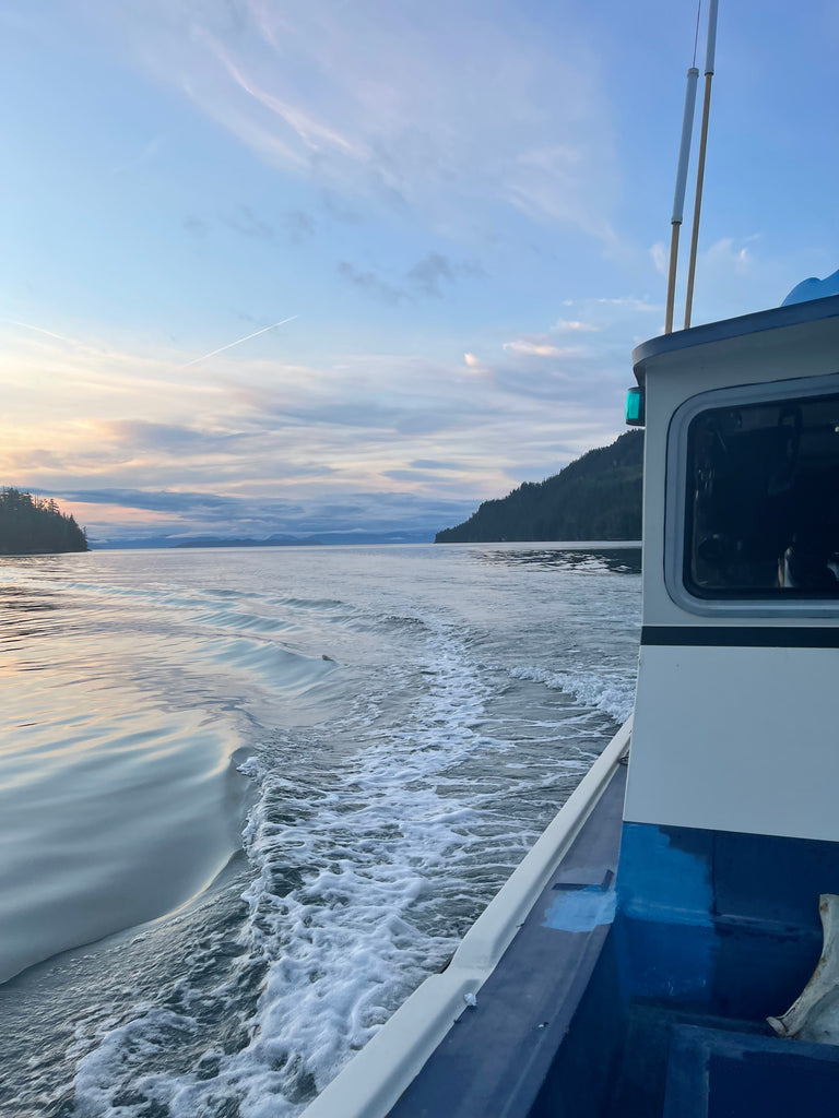 August Dispatch from the Fishing Grounds | Harvest Season 2021