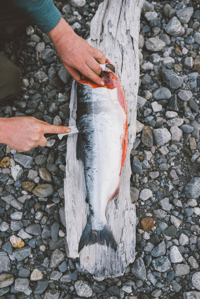Fresh Copper River Sockeye Salmon (2 Whole Fish)