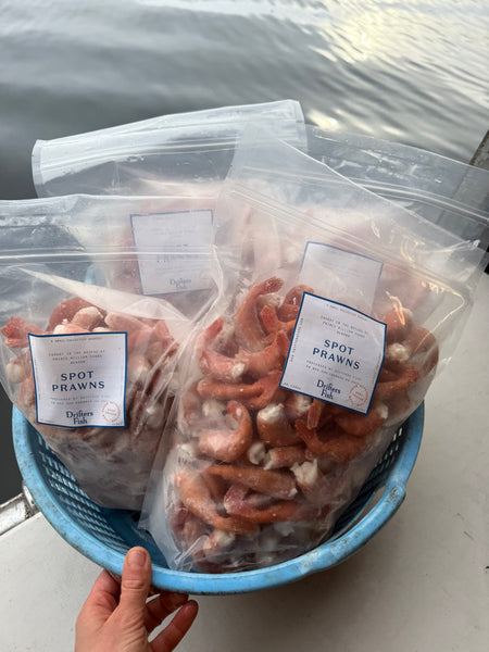 5 lb Bag