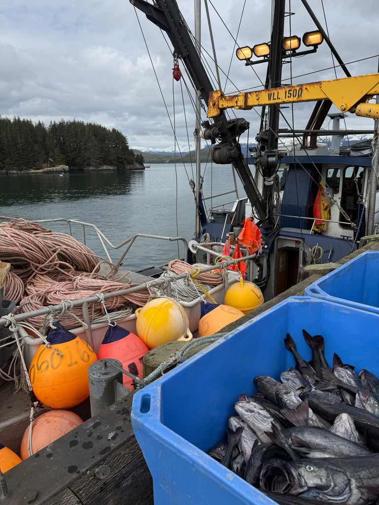 Wild Alaska Black Cod Fillets (10 lbs)