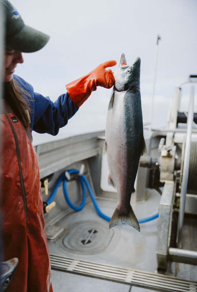 Wild Alaska Sockeye Salmon Fillets (10 lbs)